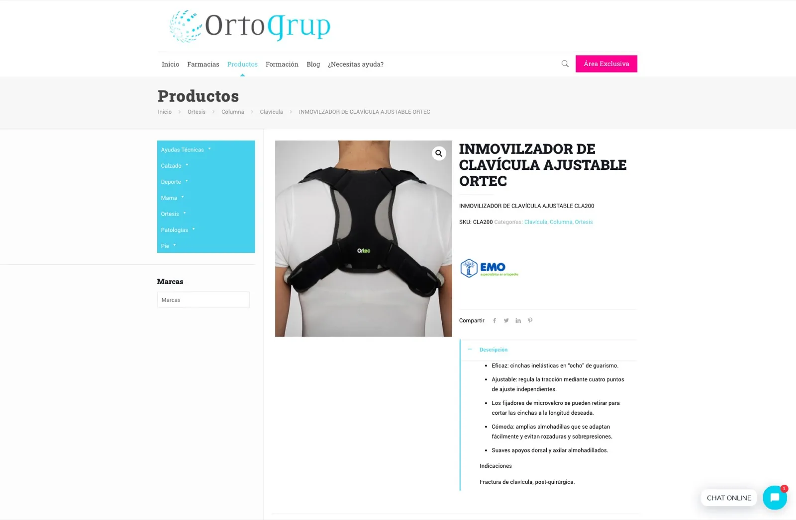 Ortogrup · Web platform — image 4