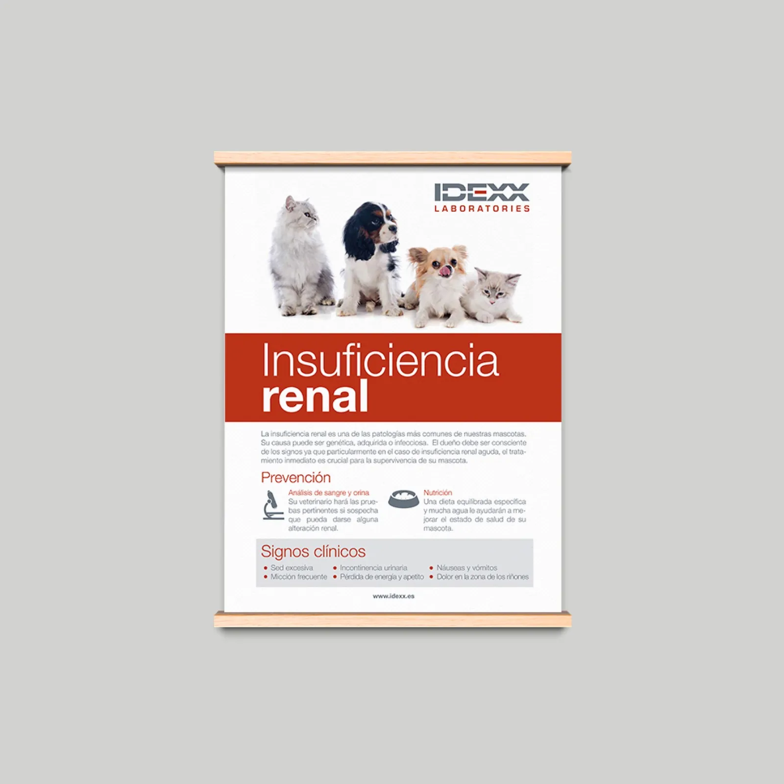 IDEXX · Comunicació global — imatge 10