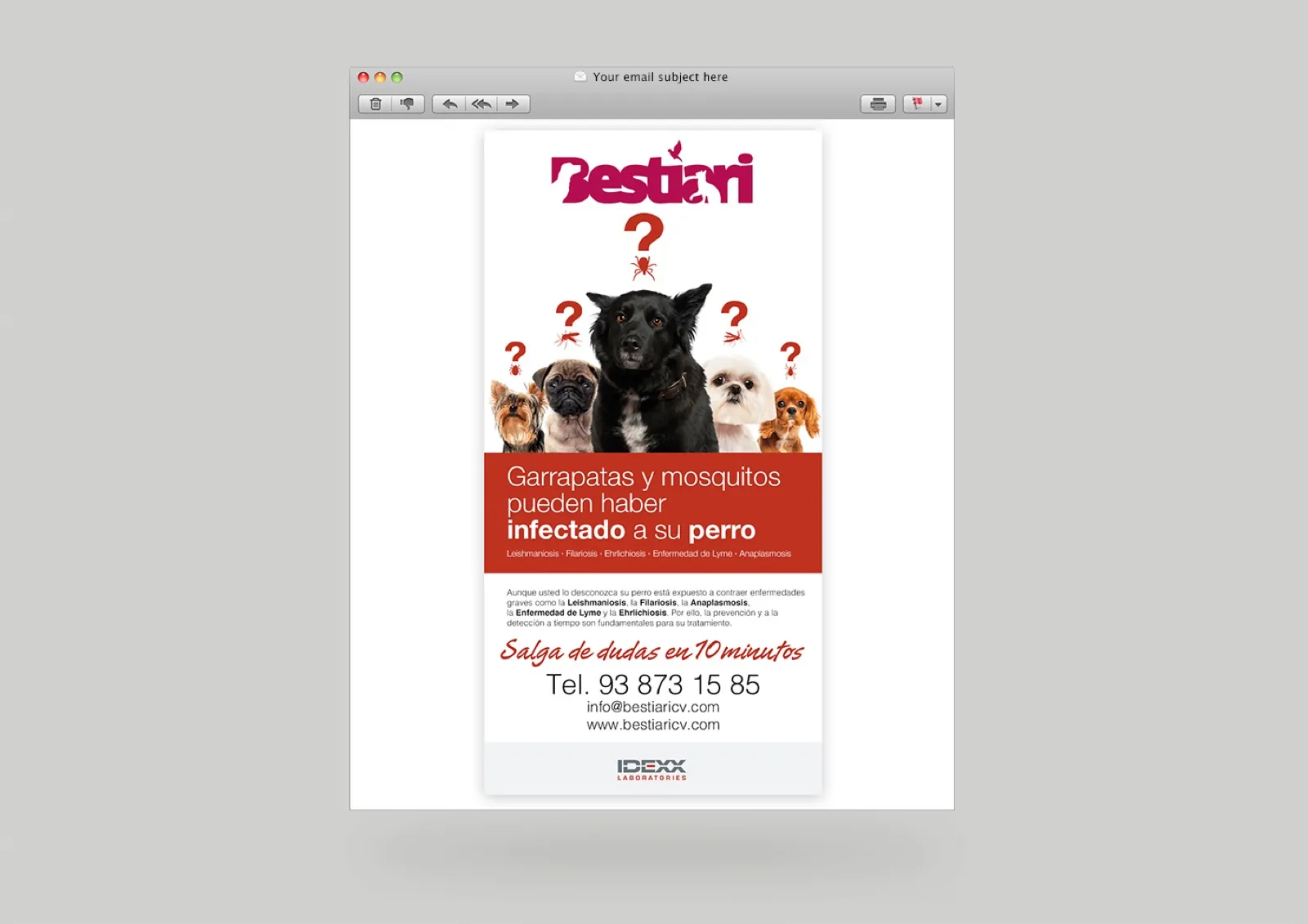 IDEXX · Comunicació global — imatge 13