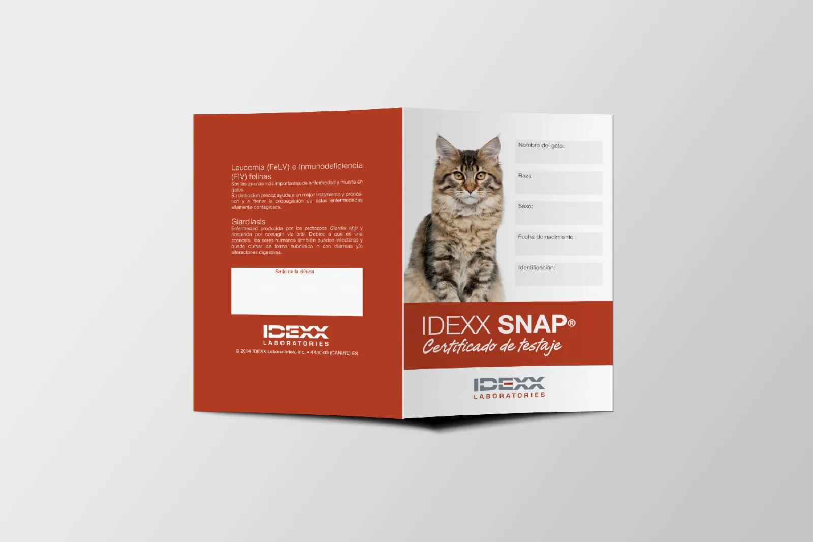 IDEXX · Comunicació global — imatge 15