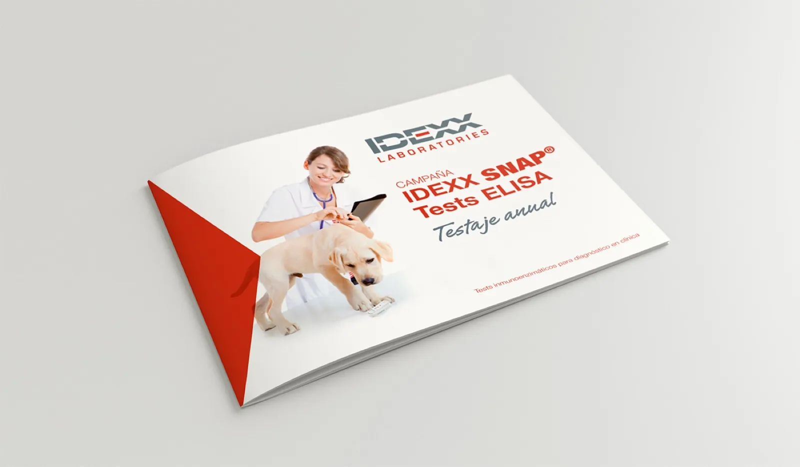 IDEXX · Comunicació global — imatge 2