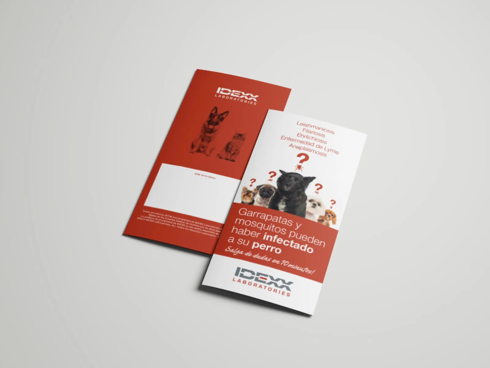 IDEXX · Comunicació global — imatge 5