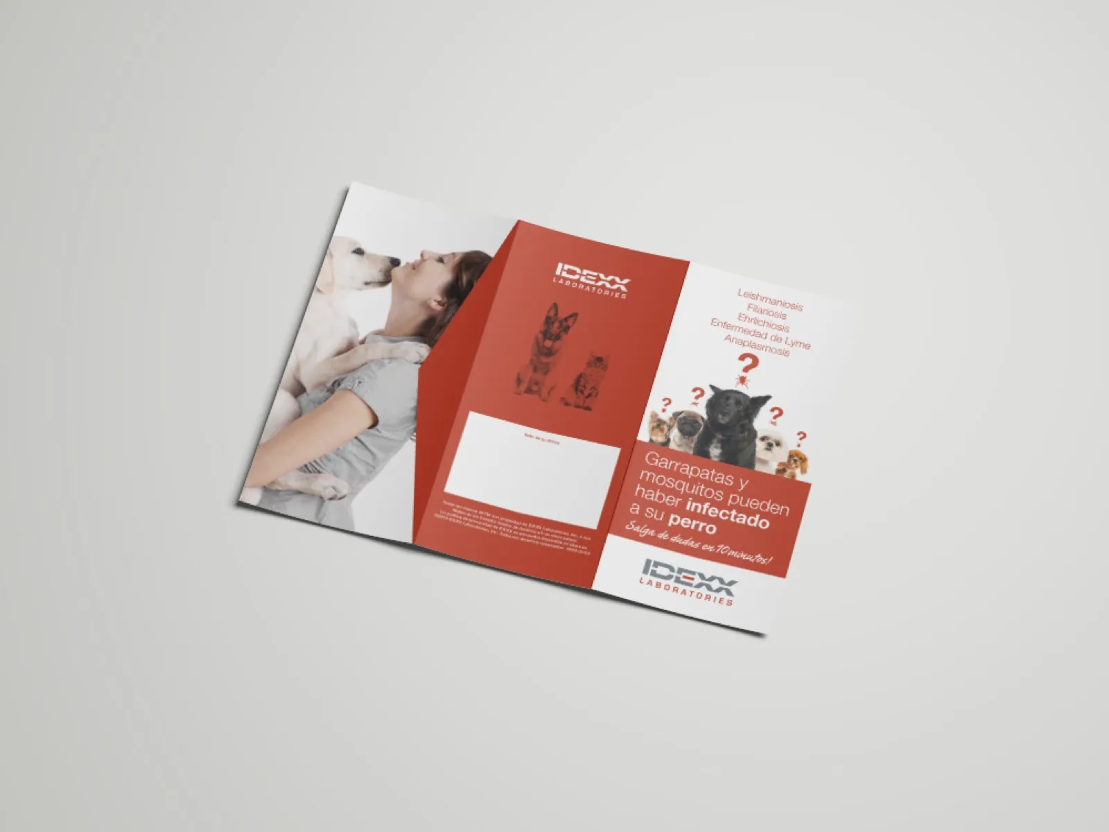 IDEXX · Comunicació global — imatge 6