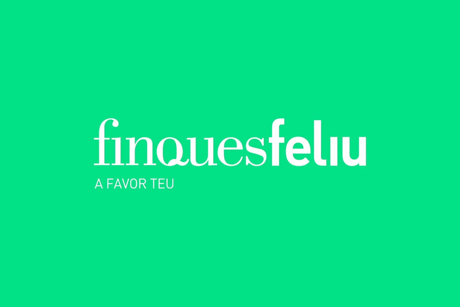Finques Feliu · Vídeo corporatiu