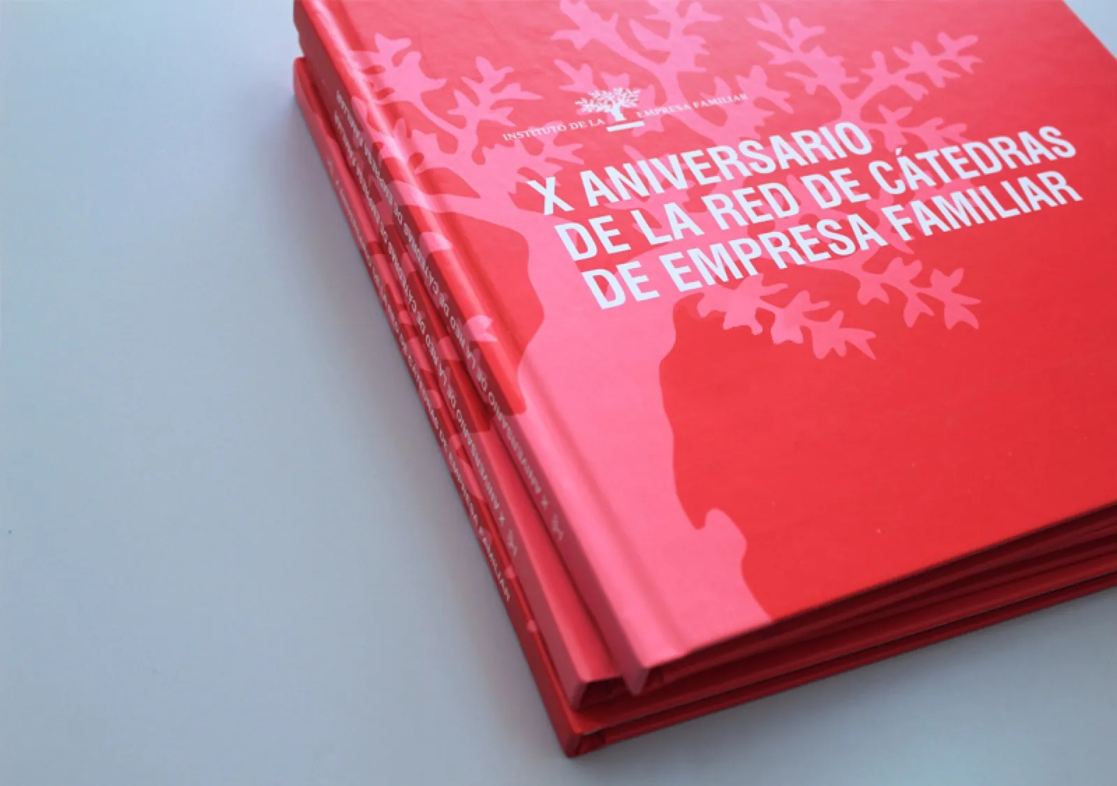 Instituto de la Empresa Familiar · Libro