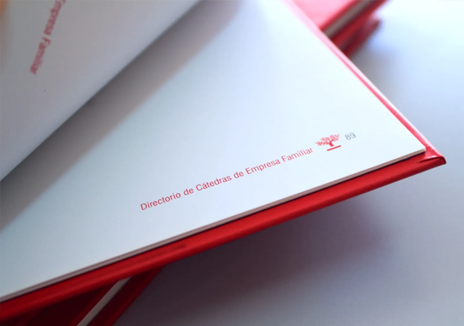 Instituto de la Empresa Familiar · Libro — imagen 4