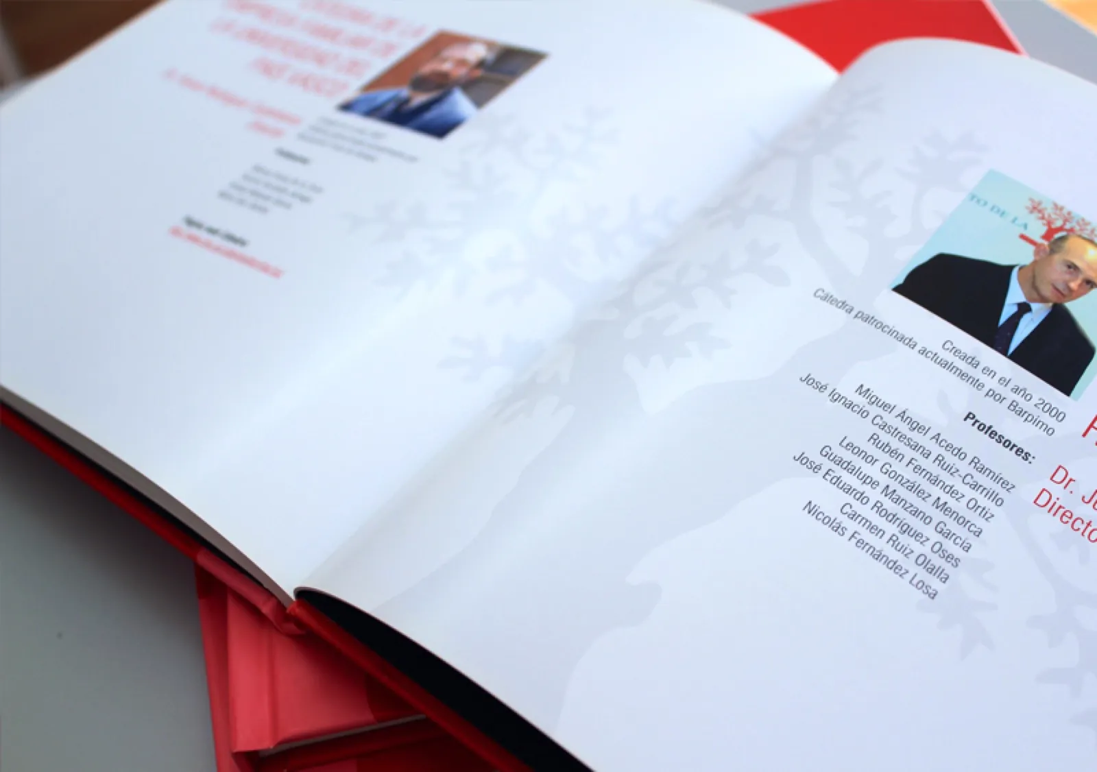 Instituto de la Empresa Familiar · Libro — imagen 5