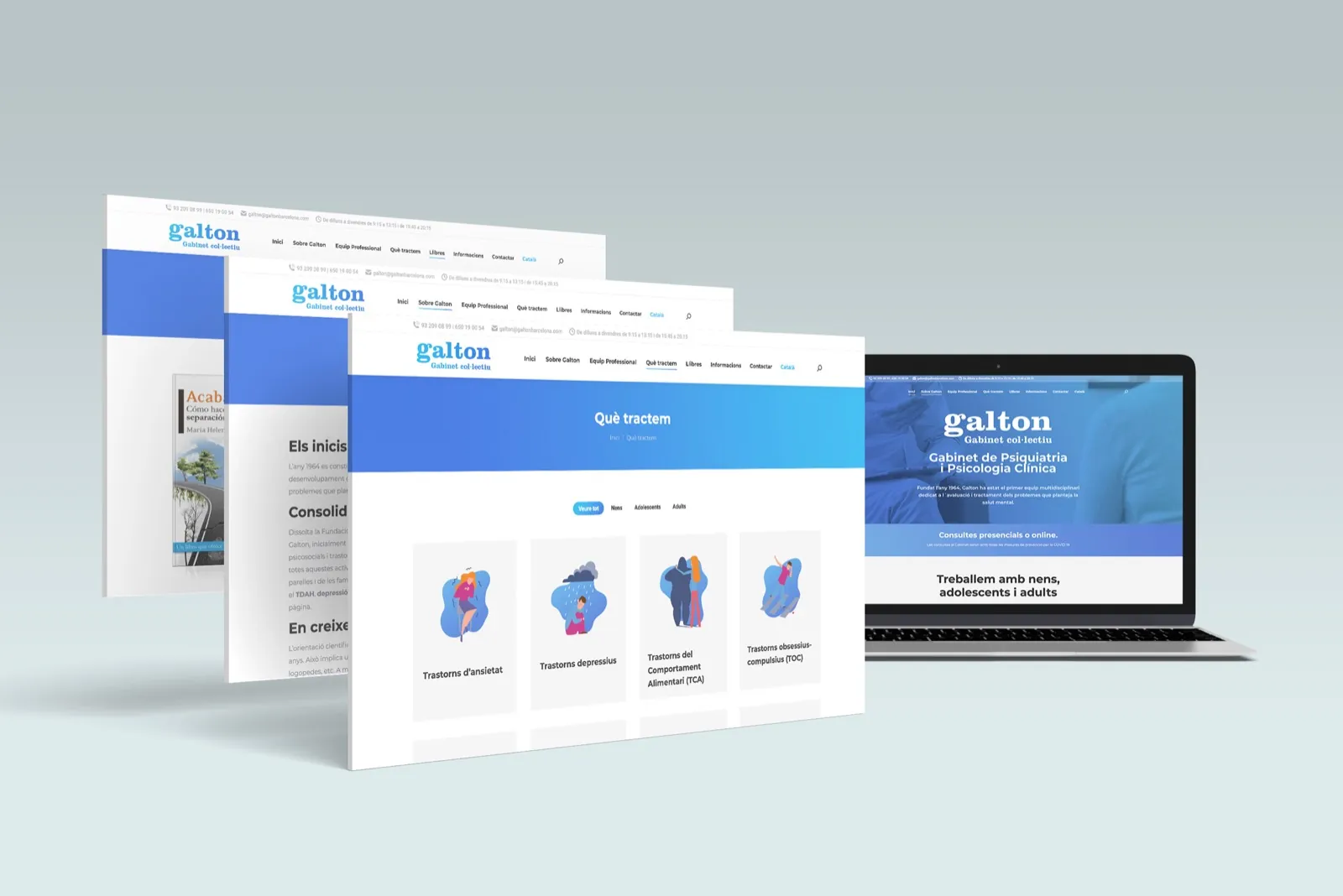 Galton Gabinet Col·lectiu · Web