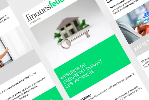 Finques Feliu · Newsletters